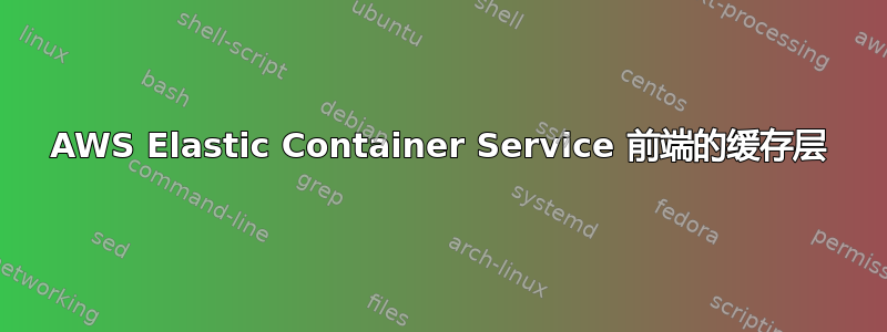 AWS Elastic Container Service 前端的缓存层