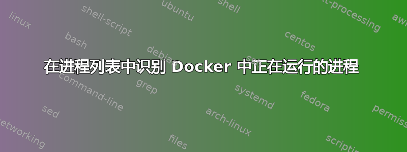 在进程列表中识别 Docker 中正在运行的进程