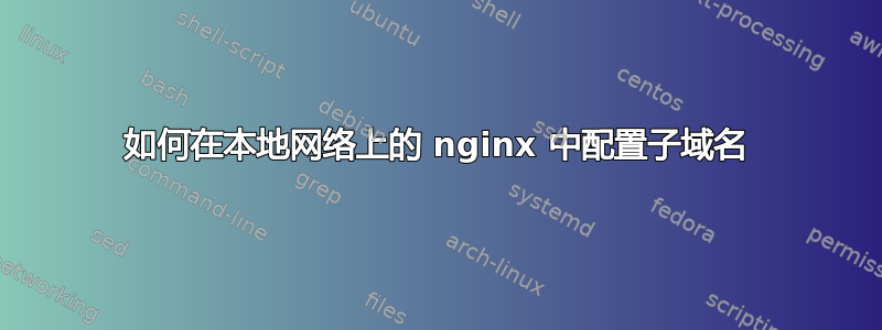 如何在本地网络上的 nginx 中配置子域名