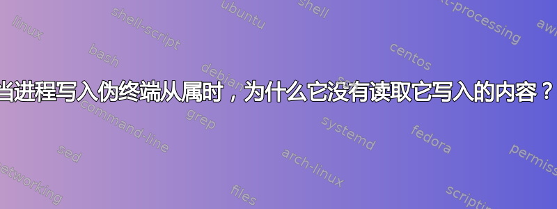 当进程写入伪终端从属时，为什么它没有读取它写入的内容？