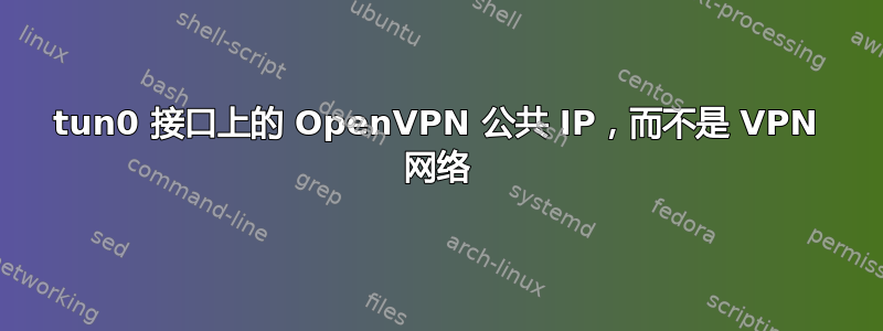 tun0 接口上的 OpenVPN 公共 IP，而不是 VPN 网络