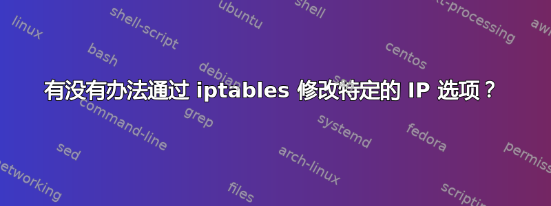 有没有办法通过 iptables 修改特定的 IP 选项？