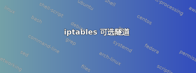 iptables 可选隧道