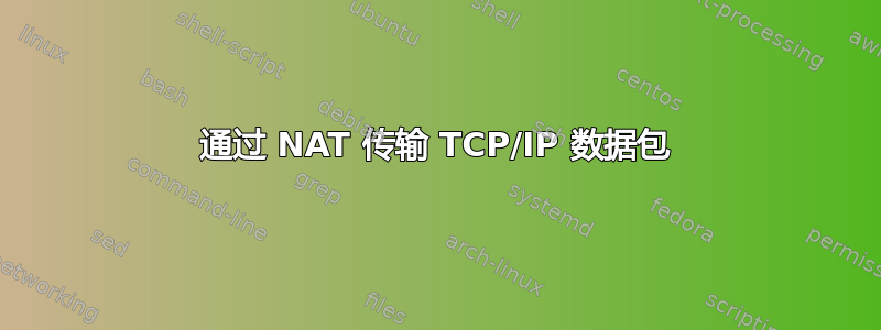 通过 NAT 传输 TCP/IP 数据包