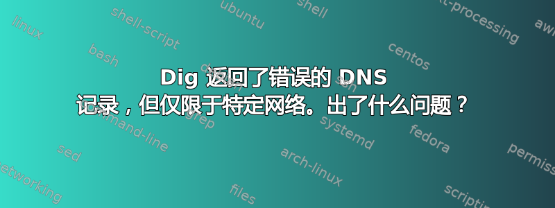 Dig 返回了错误的 DNS 记录，但仅限于特定网络。出了什么问题？