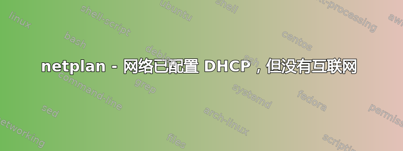 netplan - 网络已配置 DHCP，但没有互联网