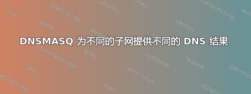 DNSMASQ 为不同的子网提供不同的 DNS 结果