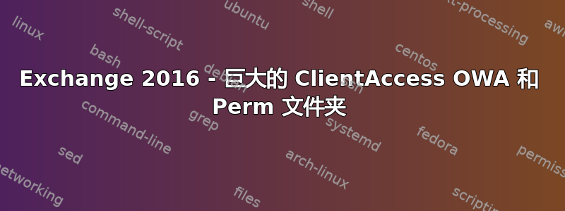 Exchange 2016 - 巨大的 ClientAccess OWA 和 Perm 文件夹