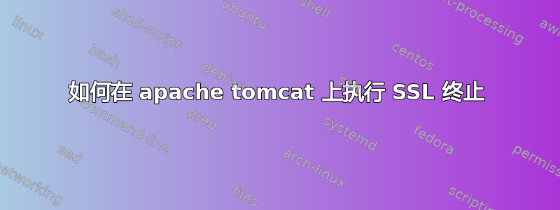 如何在 apache tomcat 上执行 SSL 终止