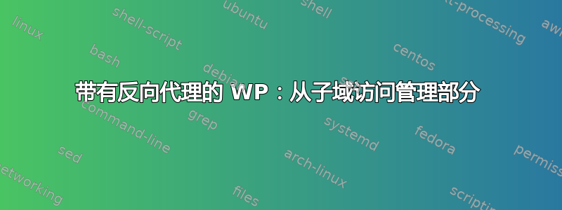 带有反向代理的 WP：从子域访问管理部分