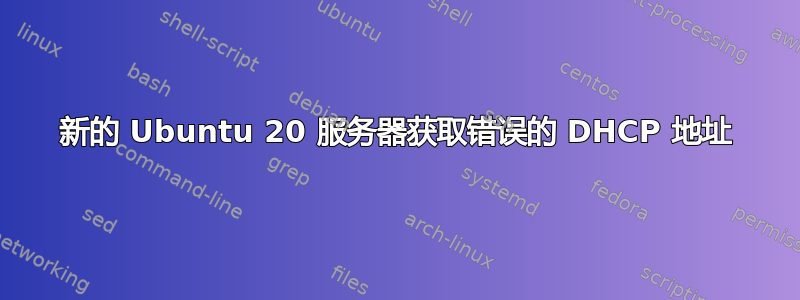 新的 Ubuntu 20 服务器获取错误的 DHCP 地址