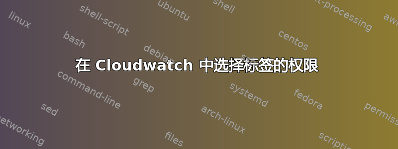 在 Cloudwatch 中选择标签的权限