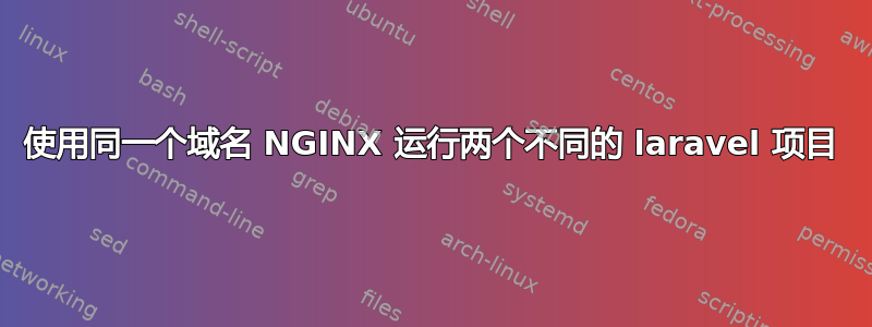 使用同一个域名 NGINX 运行两个不同的 laravel 项目