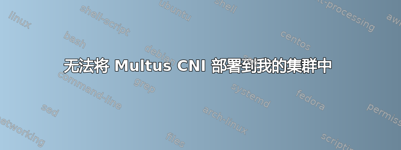 无法将 Multus CNI 部署到我的集群中