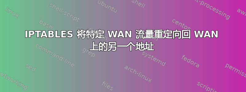 IPTABLES 将特定 WAN 流量重定向回 WAN 上的另一个地址