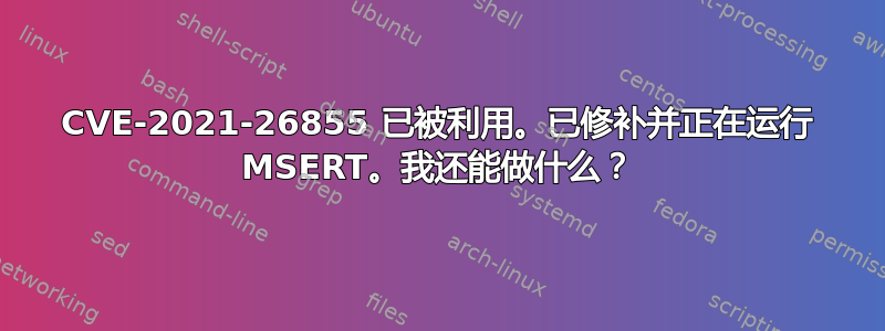 CVE-2021-26855 已被利用。已修补并正在运行 MSERT。我还能做什么？