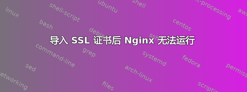 导入 SSL 证书后 Nginx 无法运行