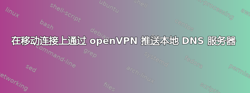 在移动连接上通过 openVPN 推送本地 DNS 服务器