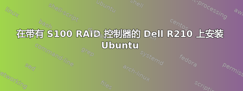 在带有 S100 RAID 控制器的 Dell R210 上安装 Ubuntu