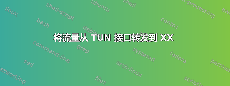 将流量从 TUN 接口转发到 XX