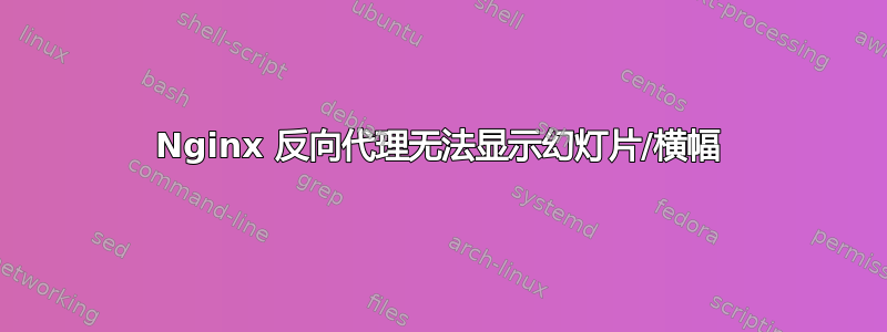 Nginx 反向代理无法显示幻灯片/横幅