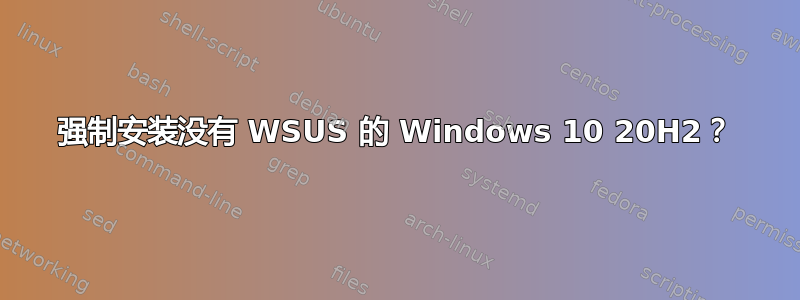 强制安装没有 WSUS 的 Windows 10 20H2？