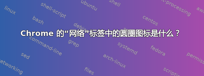 Chrome 的“网络”标签中的圆圈图标是什么？