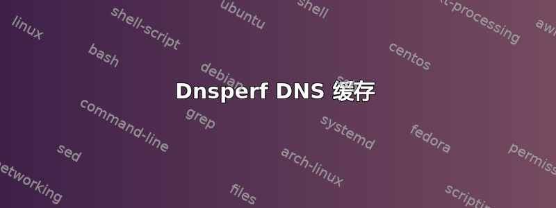 Dnsperf DNS 缓存