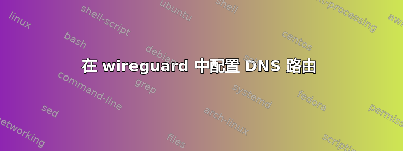 在 wireguard 中配置 DNS 路由