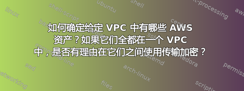 如何确定给定 VPC 中有哪些 AWS 资产？如果它们全都在一个 VPC 中，是否有理由在它们之间使用传输加密？