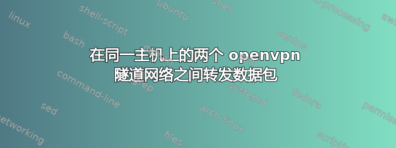 在同一主机上的两个 openvpn 隧道网络之间转发数据包