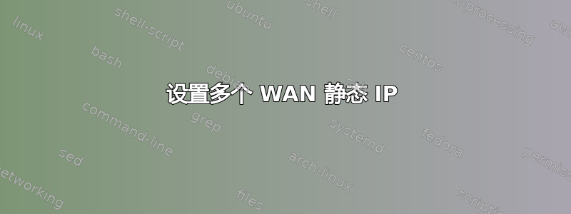 设置多个 WAN 静态 IP