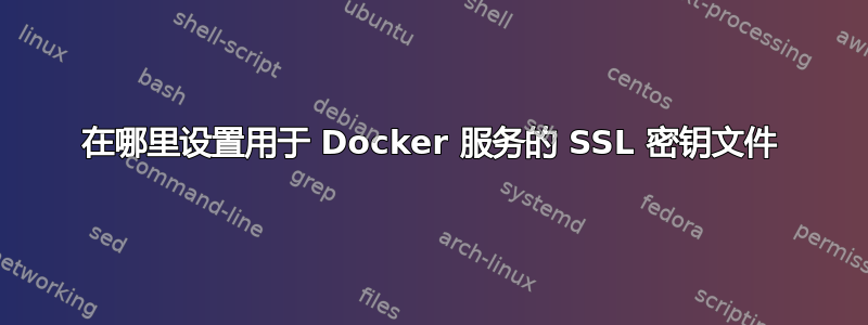 在哪里设置用于 Docker 服务的 SSL 密钥文件