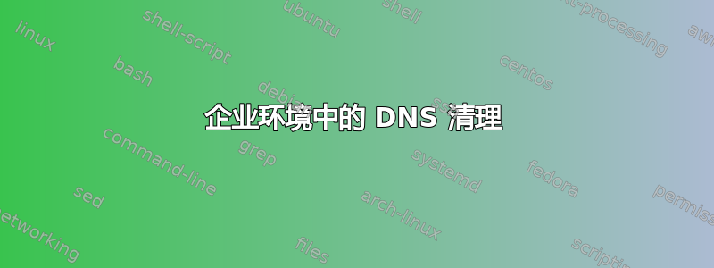 企业环境中的 DNS 清理