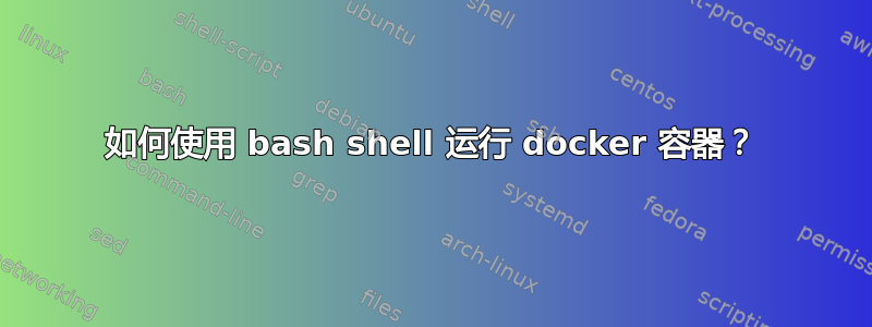 如何使用 bash shell 运行 docker 容器？