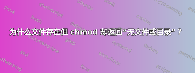 为什么文件存在但 chmod 却返回“无文件或目录”？