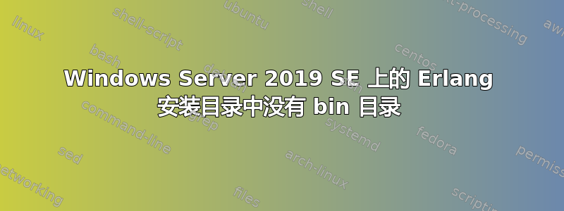 Windows Server 2019 SE 上的 Erlang 安装目录中没有 bin 目录