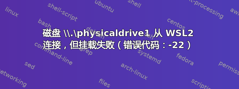 磁盘 \\.\physicaldrive1 从 WSL2 连接，但挂载失败（错误代码：-22）