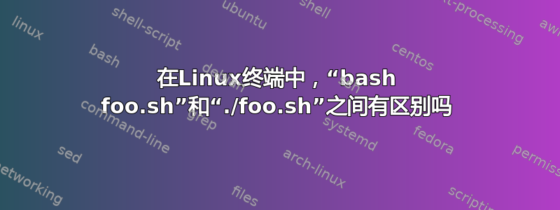 在Linux终端中，“bash foo.sh”和“./foo.sh”之间有区别吗