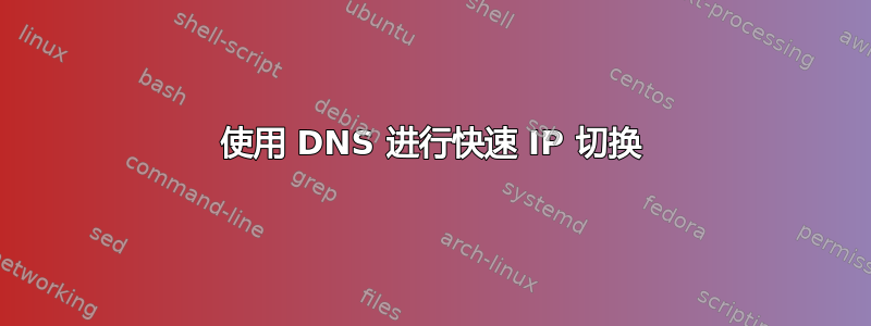 使用 DNS 进行快速 IP 切换