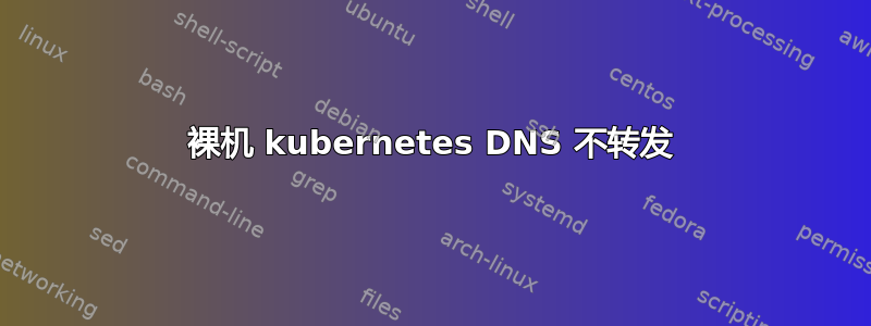 裸机 kubernetes DNS 不转发