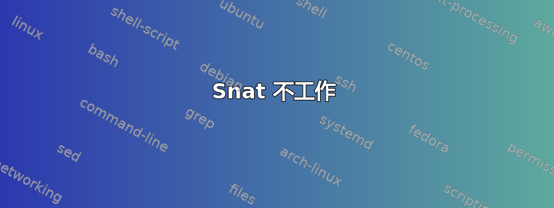 Snat 不工作