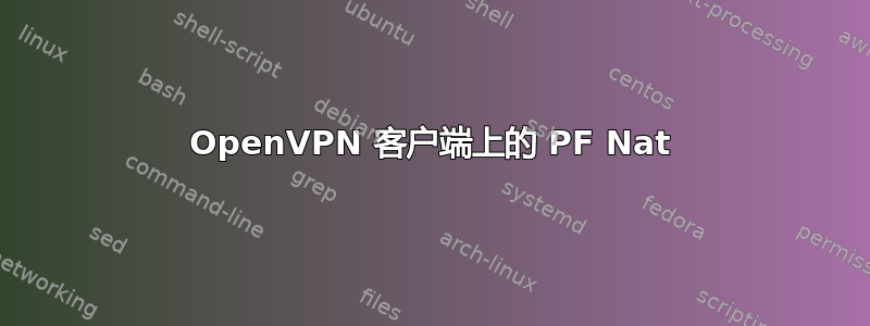 OpenVPN 客户端上的 PF Nat