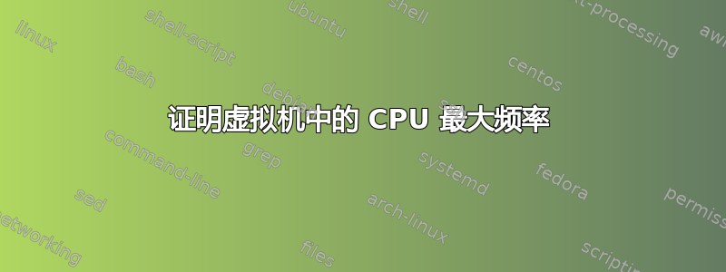 证明虚拟机中的 CPU 最大频率