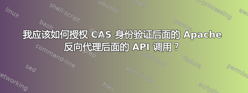 我应该如何授权 CAS 身份验证后面的 Apache 反向代理后面的 API 调用？