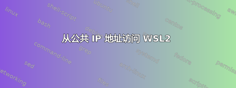 从公共 IP 地址访问 WSL2