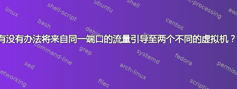 有没有办法将来自同一端口的流量引导至两个不同的虚拟机？