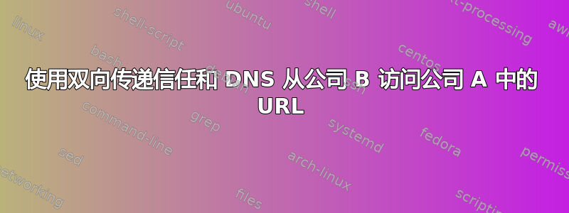 使用双向传递信任和 DNS 从公司 B 访问公司 A 中的 URL