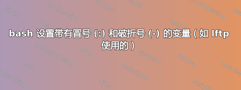 bash 设置带有冒号 (:) 和破折号 (-) 的变量（如 lftp 使用的）