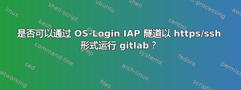 是否可以通过 OS-Login IAP 隧道以 https/ssh 形式运行 gitlab？